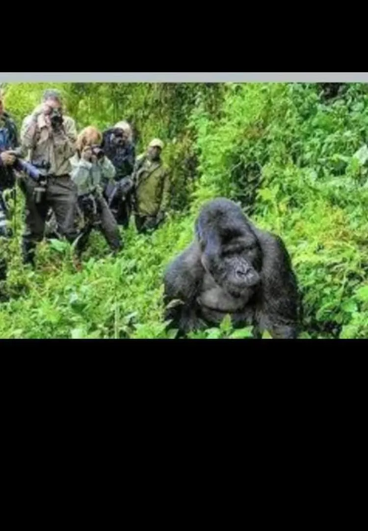Speke Hotels And Tours In Kampala Camping