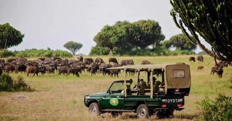 Speke Hotels And Tours In Kampala Camping