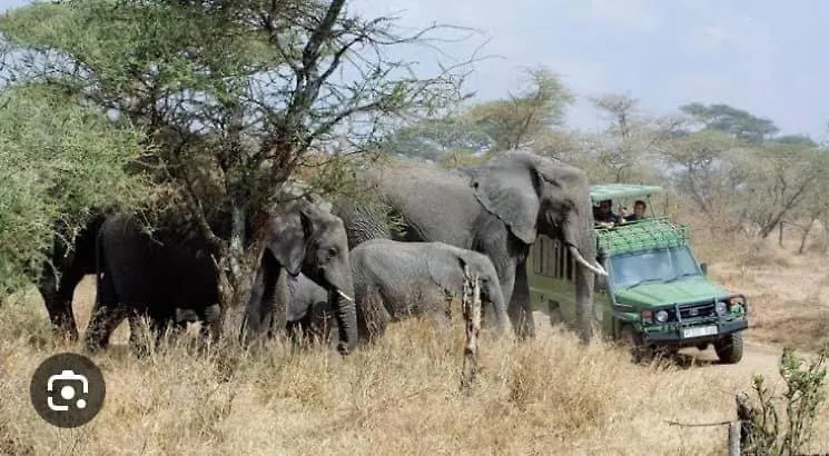 Speke Hotels And Tours In Kampala Uganda